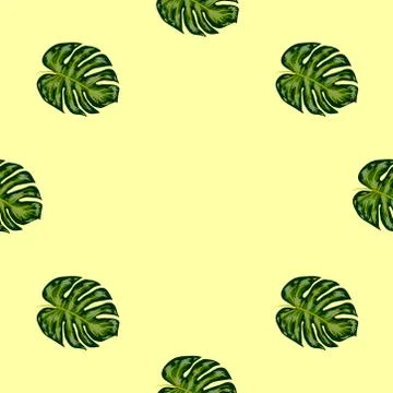 Seamless pattern of leaves monstera. Tropical leaves of palm tree. Vector bac Stock Illustration