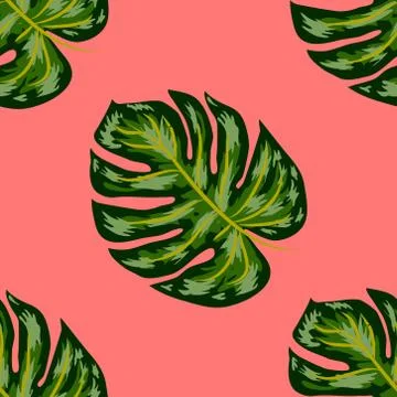Seamless pattern of leaves monstera. Tropical leaves of palm tree. Vector bac 스톡 일러스트