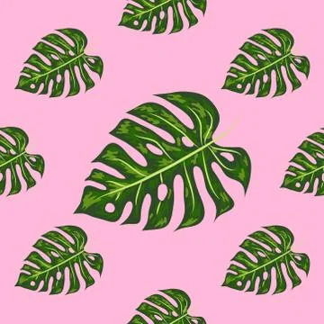 Seamless pattern of leaves monstera. Tropical leaves of palm tree. Vector bac Stock Illustration