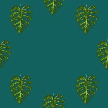 Seamless pattern of leaves monstera. Tropical leaves of palm tree. Vector bac 스톡 일러스트