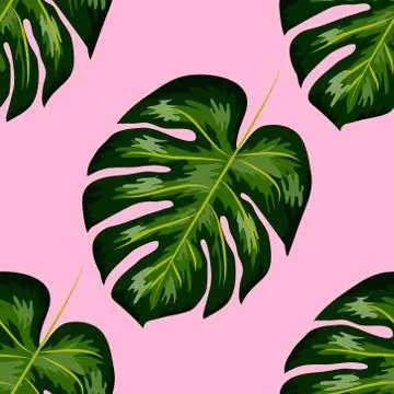 Seamless pattern of leaves monstera. Tropical leaves of palm tree. Vector bac イラスト素材
