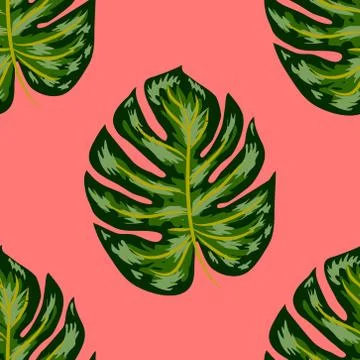 Seamless pattern of leaves monstera. Tropical leaves of palm tree. Vector bac Stock Illustration