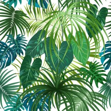 Seamless pattern of leaves monstera. Tropical leaves of palm tree. Stock Illustration