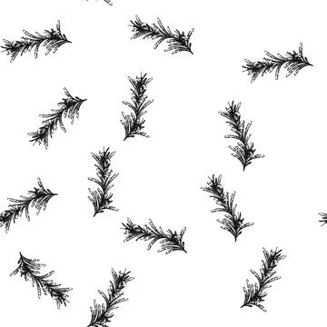 Seamless pattern leaves rosemary sketch hand drawn 스톡 일러스트