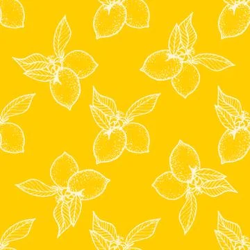 Seamless pattern ,lemon background with yellow and white elements, geometric Stock Illustration