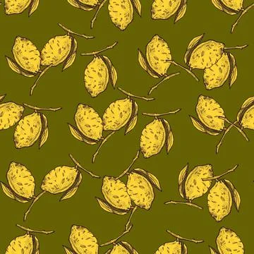 Seamless pattern lemon on branch with leaves engraving. Vintage background of Stock Illustration