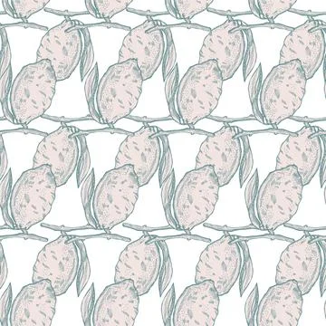 Seamless pattern lemon on branch with leaves engraving. Vintage background of Stock Illustration