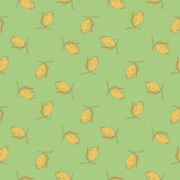 Seamless pattern lemon on branch with leaves engraving. Vintage background of Stock Illustration