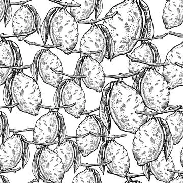 Seamless pattern lemon on branch with leaves engraving. Vintage background of Stock Illustration