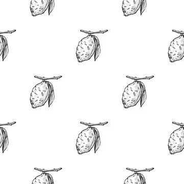 Seamless pattern lemon on branch with leaves engraving. Vintage background of Stock Illustration