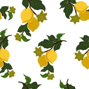A seamless pattern with lemon branches and flowers on a white background. A s Stock Illustration