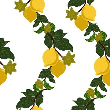 A seamless pattern with lemon branches and flowers on a white background. A s Stock Illustration