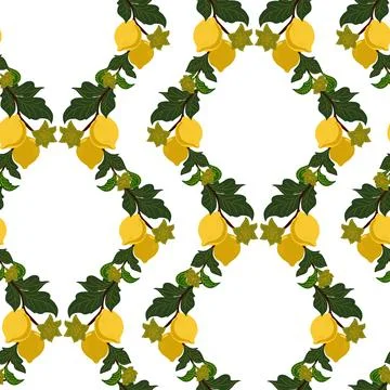 A seamless pattern with lemon branches and flowers on a white background. A s Stock Illustration