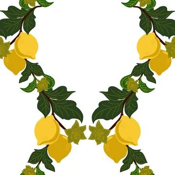 A seamless pattern with lemon branches and flowers on a white background. A s Stock Illustration