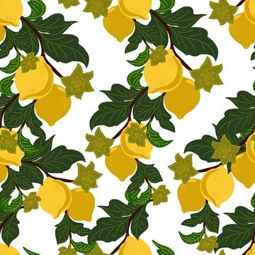 A seamless pattern with lemon branches and flowers on a white background. A s Stock Illustration