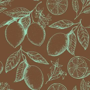 Seamless pattern with lemon branches with fruits and flowers. Drawing in re.. Stock Illustration