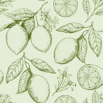 Seamless pattern with lemon branches with fruits and flowers. Drawing in re.. Illustrazione stock