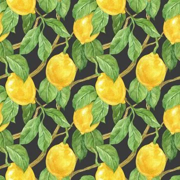 Seamless pattern with lemon fruit and leaves. Citrus. Watercolor illustration Stock Illustration