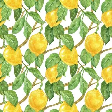 Seamless pattern with lemon fruit and leaves. Citrus. Watercolor illustration Stock Illustration