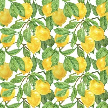 Seamless pattern with lemon fruit and leaves. Citrus. Watercolor illustration Stock Illustration