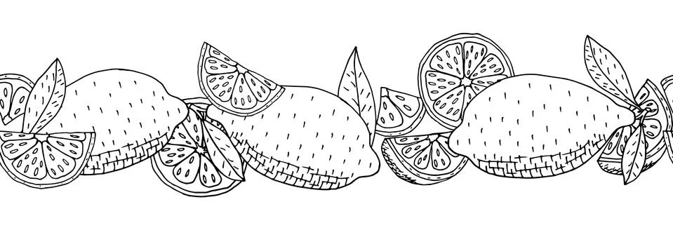 Seamless pattern of lemon fruit hand drawn, isolated on white background. Can イラスト素材
