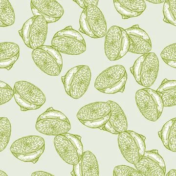 Seamless pattern lemon half engraving. Vintage background of citrus fruits in Stock Illustration