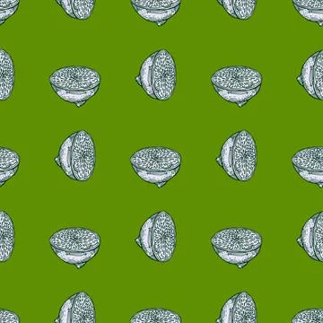 Seamless pattern lemon half engraving. Vintage background of citrus fruits in Stock Illustration