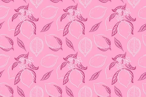 Seamless pattern of lemon with leaf and flower in hand drawn style on a pink Stock Illustration