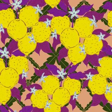 Seamless pattern with lemons and leaves on a branch in a hand-drawn line art  Stock Illustration