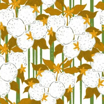 Seamless pattern with lemons and leaves on a branch in a hand-drawn line art  Stock Illustration