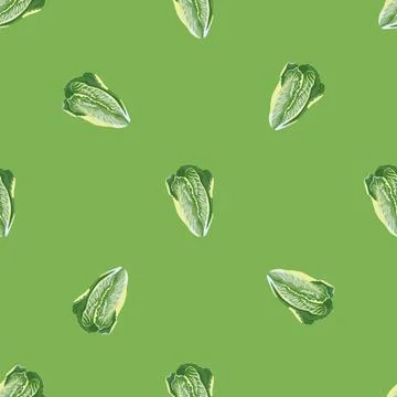 Seamless pattern lettuce Romano on bright green background. Minimalism textur Stock Illustration