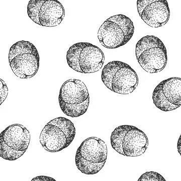 Seamless pattern lichee lychees sketch hand drawn Stock Illustration