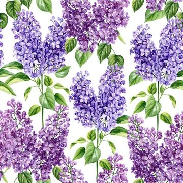 Seamless pattern with lilac flowers and leaves. Watercolor violet Flora for Stock Illustration