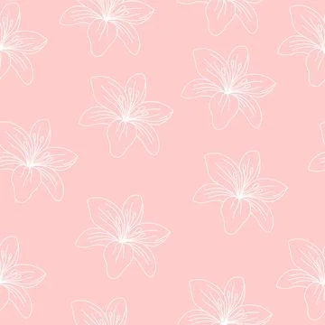 Seamless pattern of lilies. Beautiful delicate lily. Vector illustration on pink Stock Illustration