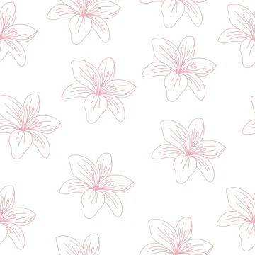 Seamless pattern of lilies. Beautiful delicate lily. Vector illustration on Stock Illustration