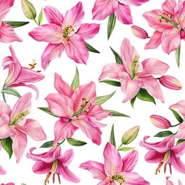 Seamless pattern lilies pink flower on isolated background, Hand drawn Lily Stock Illustration