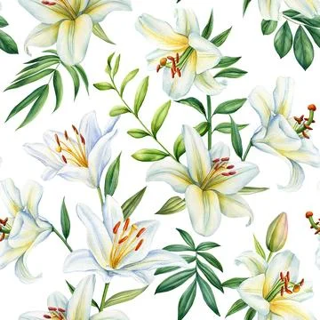 Seamless pattern lilies white flower and leaves, floral background, Lily flora Stock Illustration
