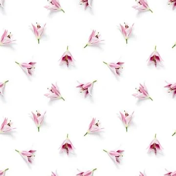 Seamless pattern of Lily flower bloom. Lily flowers over white background sea Fotos de archivo
