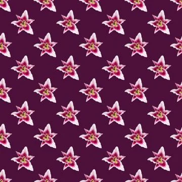 Seamless pattern of Lily flower bloom. Lily flowers over pink background seam Fotos de archivo
