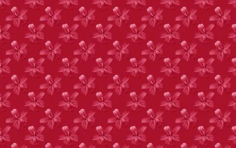 Seamless pattern of Lily flower bloom. Floral natural background Fotos de archivo