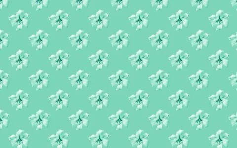 Seamless pattern of Lily flower bloom. Floral natural background Foto stock