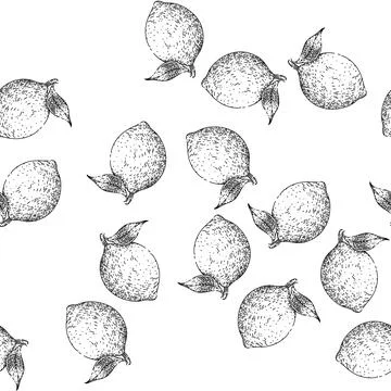 Seamless pattern lime green fruit sketch hand drawn イラスト素材