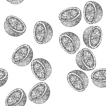 Seamless pattern lime slice citrus sketch hand drawn Stockillustratie