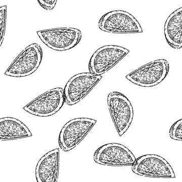Seamless pattern lime slice cut sketch hand drawn Stock Illustration