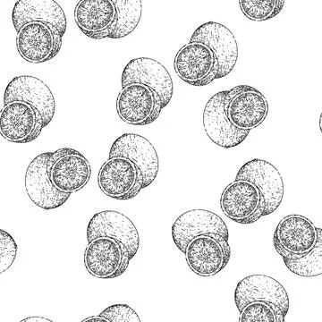 Seamless pattern lime slice fruit sketch hand drawn Stock Illustration