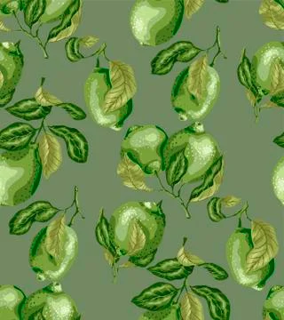 Seamless Pattern of limes amd lemon fruits. There are leaves and fruits on th Stock Illustration