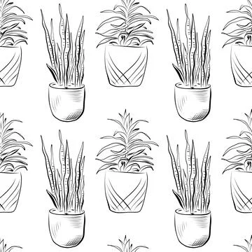 Seamless pattern. Line art of potted plants. vector drawing. Stock Illustration