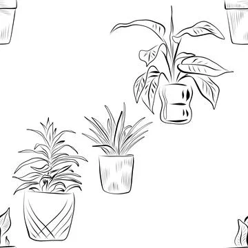 Seamless pattern. Line art of potted plants. vector drawing. Stock Illustration