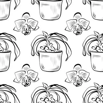Seamless pattern. Line art of potted plants. vector drawing. Stock Illustration