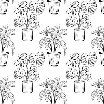Seamless pattern. Line art of potted plants. vector drawing. Stock Illustration